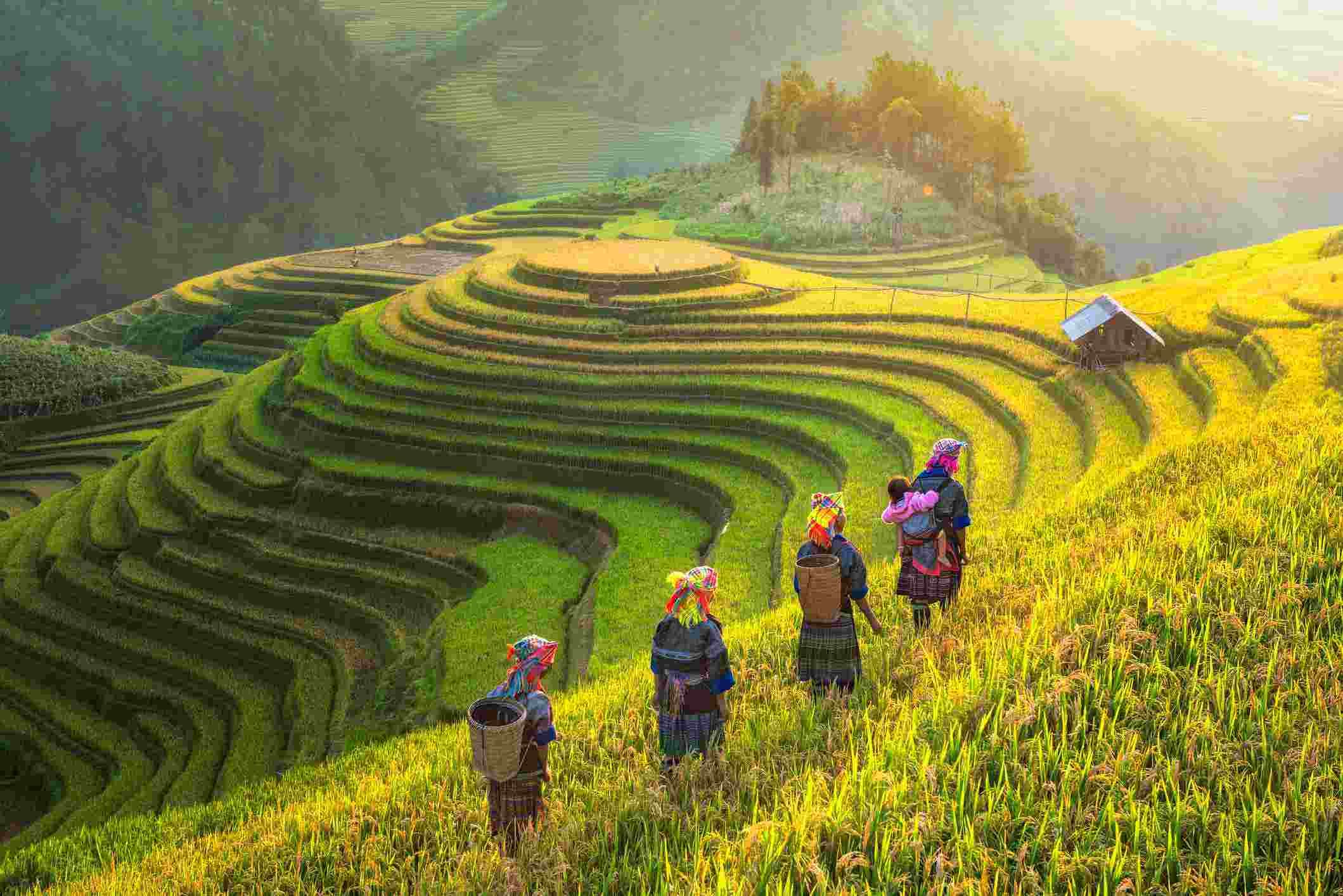 Public Transport in Vietnam: A Complete Guide for Travelers