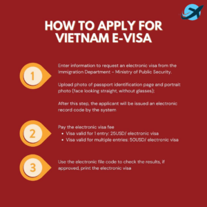 How to Get Vietnam Visa? A Complete Guide for 2025 1 vietnam e-visa application process