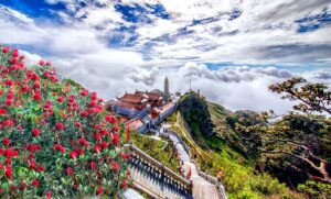 hinh anh sapa mua he